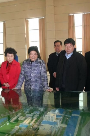 2011年12月14日，第十届全国人大常委会副委员长顾秀莲、中国石油和化学工业联合会长李勇武等参加铜化集团成立20周年庆典，莅临公司视察。